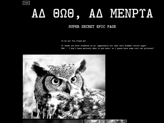 owl screenshot