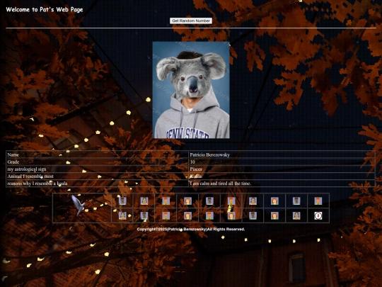 pat screenshot