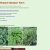rhubarb-meadow.neocities.org avatar
