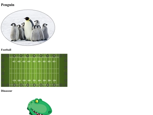ImitationAssignment/ImitationAssignment screenshot