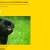This is the web site of pugs avatar
