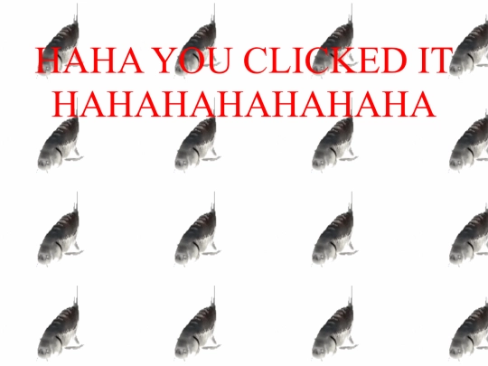 hahayoupressedit screenshot