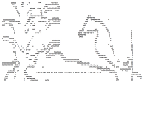 hippo screenshot