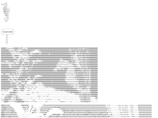 hippocampe screenshot