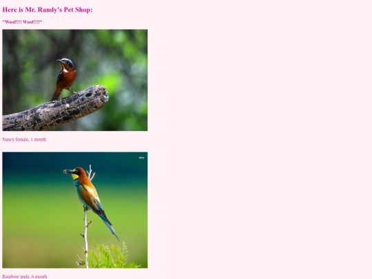 birld screenshot