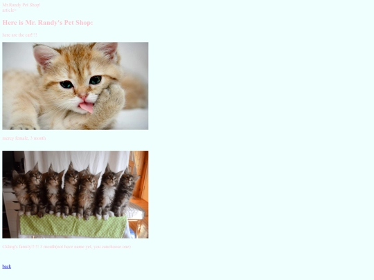 cat screenshot