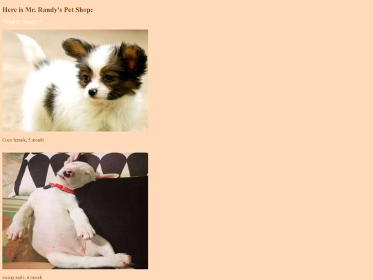 dog screenshot