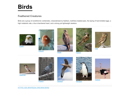 assignment2/birds/birds screenshot