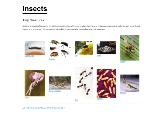 assignment2/insects/insects screenshot