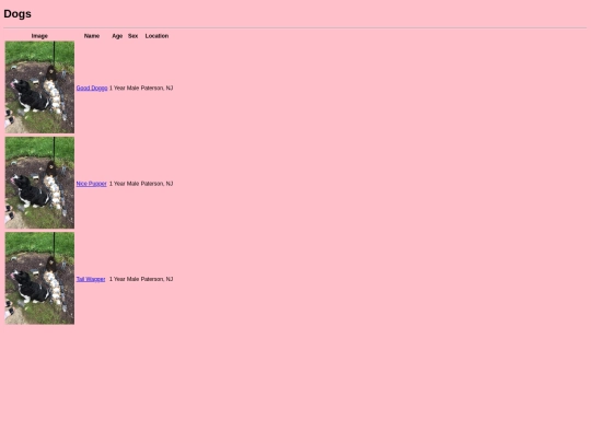 assignment3/dogs/dogs screenshot