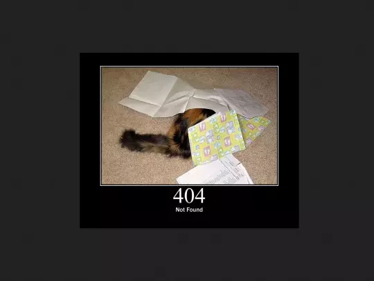 newsitedevelopment/storage/not_found screenshot