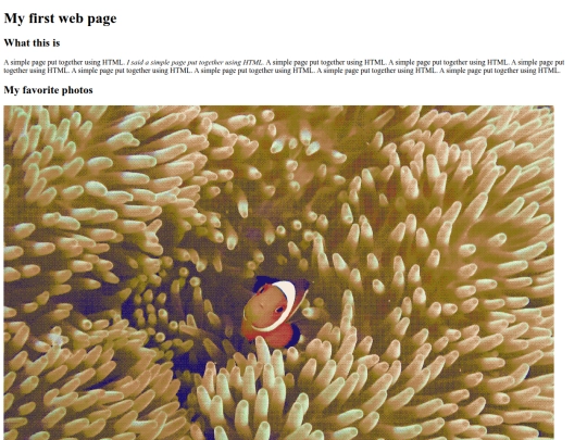 my-first-page screenshot