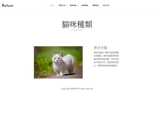 c009 screenshot