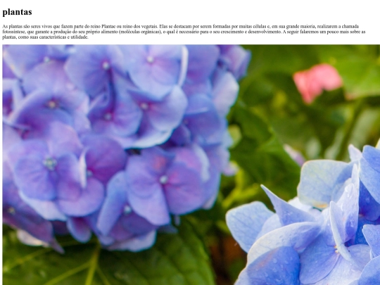 atividade5/pagina1link screenshot