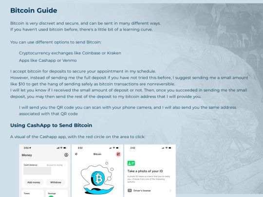 bitcoinguide screenshot