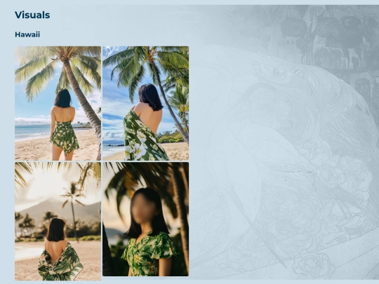 visuals screenshot