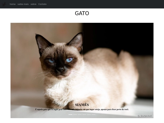 bootstrap/home screenshot