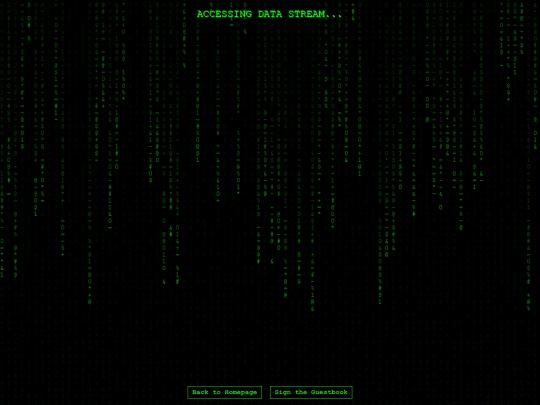 ascii screenshot