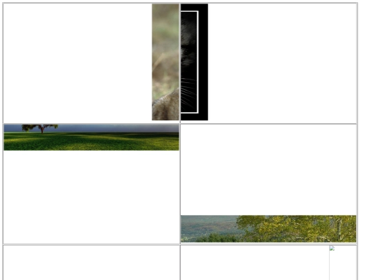 pagina1 screenshot