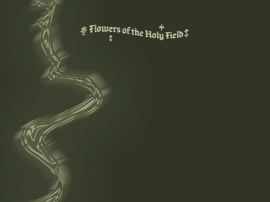 videos screenshot