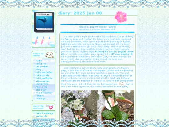 diary/2025-06-08 screenshot