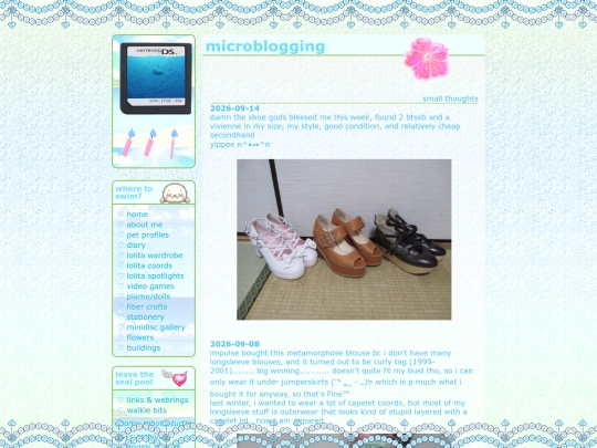 diary/micro screenshot