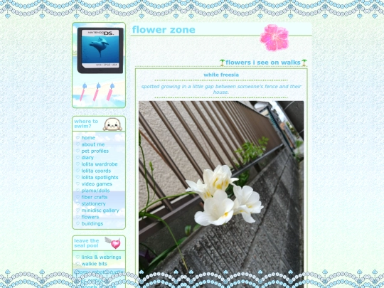 flowers screenshot