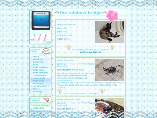 rainbowbridge screenshot