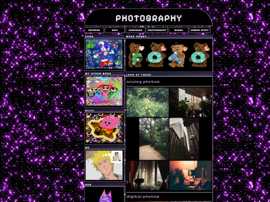 page/photography screenshot