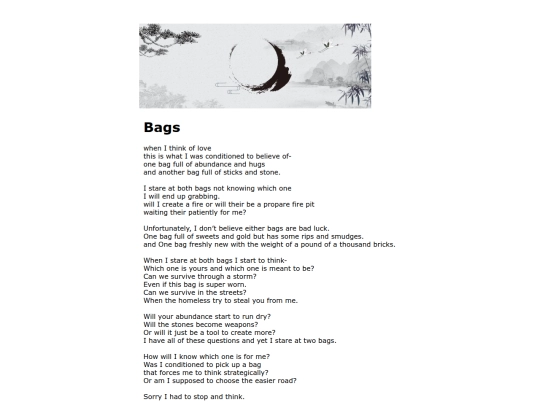 stories/bags screenshot