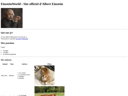 Albert Einstein screenshot