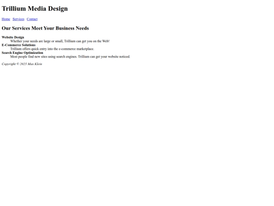 Web Design Class/IST4654 Web Example/Trillium Lab 2 Website/services screenshot