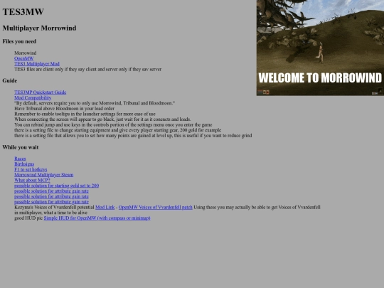 TES3MP screenshot