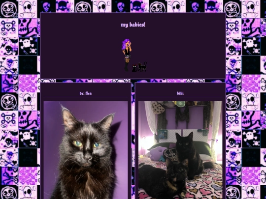 cats screenshot