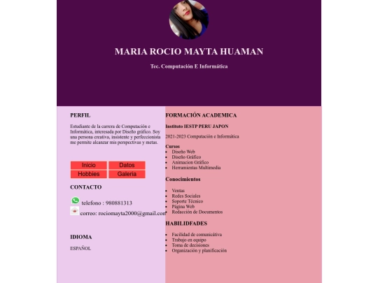 MI CV/cv screenshot