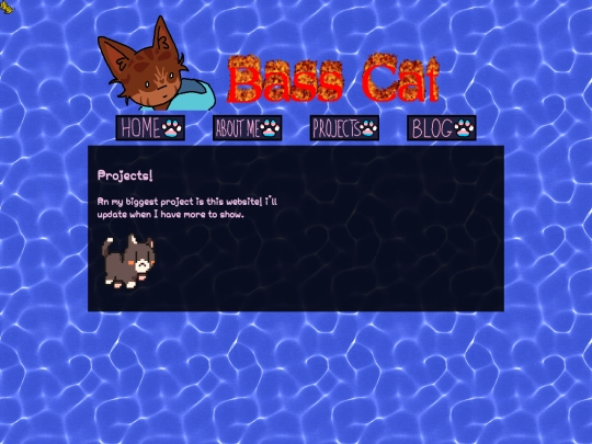 projects screenshot