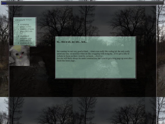 home screenshot