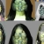 the-sludge-pit.neocities.org avatar