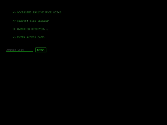 enigma_hidden_page (1) screenshot