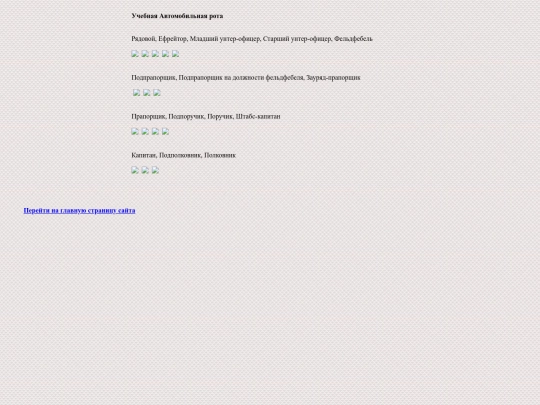 pages/avto-scool screenshot
