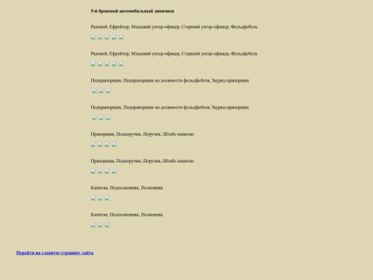 pages/brone-div5 screenshot