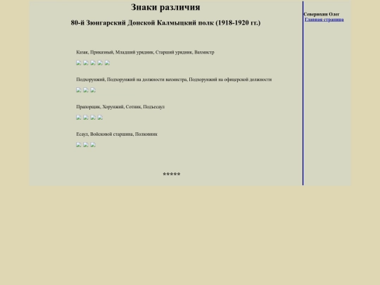 pages/zyungar80 screenshot