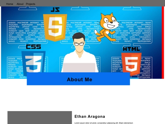 Designer_Profile_Assessment/About screenshot
