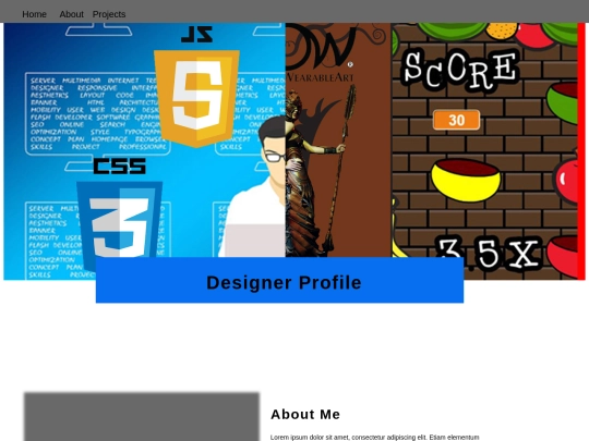 Designer_Profile_Assessment/HomePage screenshot