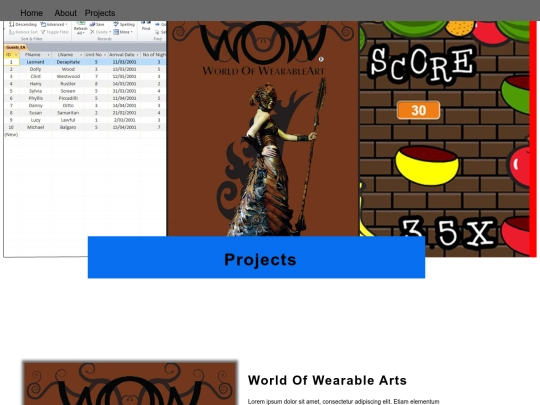 Designer_Profile_Assessment/Projects screenshot