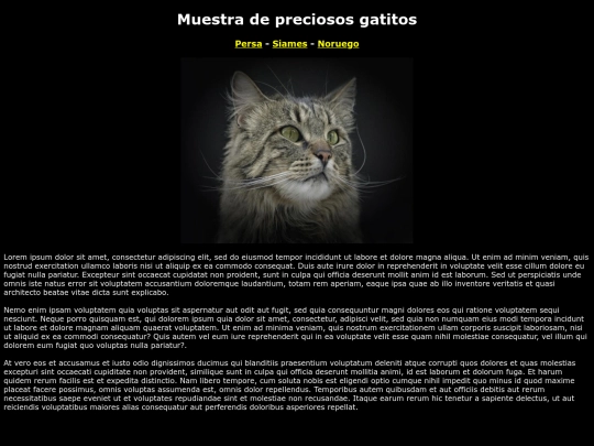 examen html/gatonoruego screenshot