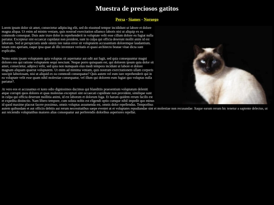 examen html/gatosiames screenshot