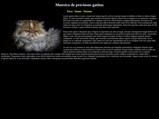 examen html/testTIC screenshot