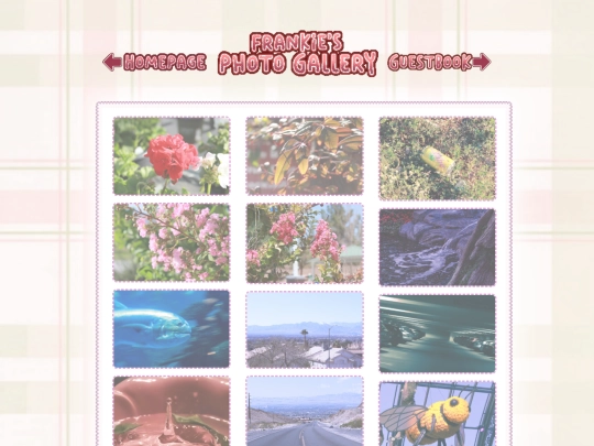 Photography screenshot