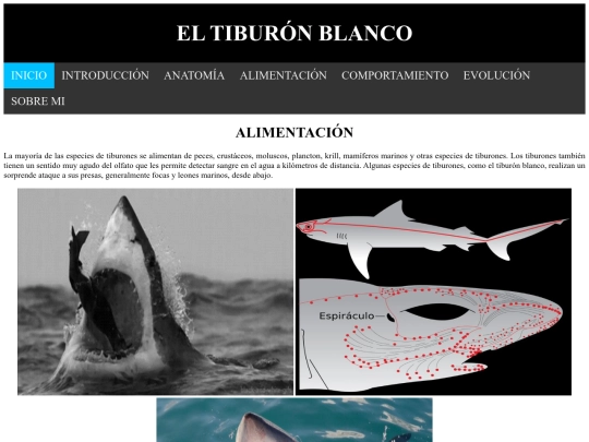 alimentacion screenshot